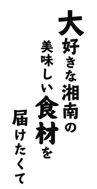 大好きな湘南の美味しい食材を届けたくて