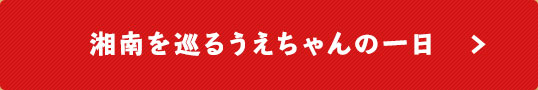 湘南を巡るうえちゃんの一日